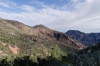 Ascending Laguna Meadow