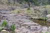 Abundant Water