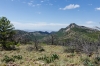 Emory Peak