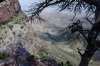 SW Rim