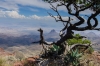 Elephant Tusk Mountain
