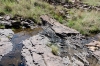 Water Source near camp