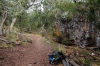 Colima Trail