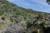Near the NE Rim Trail Junction in Boot Canyon