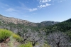 Along NE Rim Trail