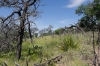 NE Rim Trail- Juniper Canyon
