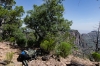 NE Rim Trail