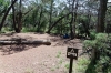 NE4 Campsite