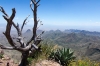 SW Rim View