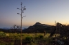 Emory Peak Sunrise