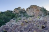 Emory Boulder Field