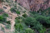 Cattail Falls Trail