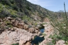 Looking Downstream