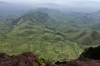 Verdant Hills