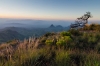 Elephant Tusk Awakens