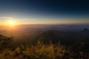 Carmen Sunrise