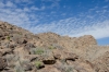 Big Bend Photos