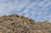 Big Bend Photos