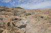 Big Bend Photos