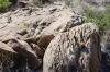 Big Bend Photos