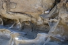 Big Bend Photos