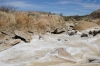 Big Bend Photos