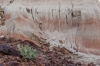 Big Bend Photos