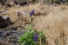 Big Bend Photos