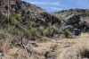 Big Bend Photos