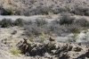 Big Bend Photos