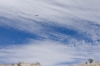 Big Bend Photos