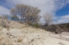 Big Bend Photos