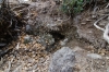 Big Bend Photos