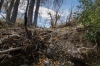 Big Bend Photos