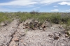 Big Bend Photos