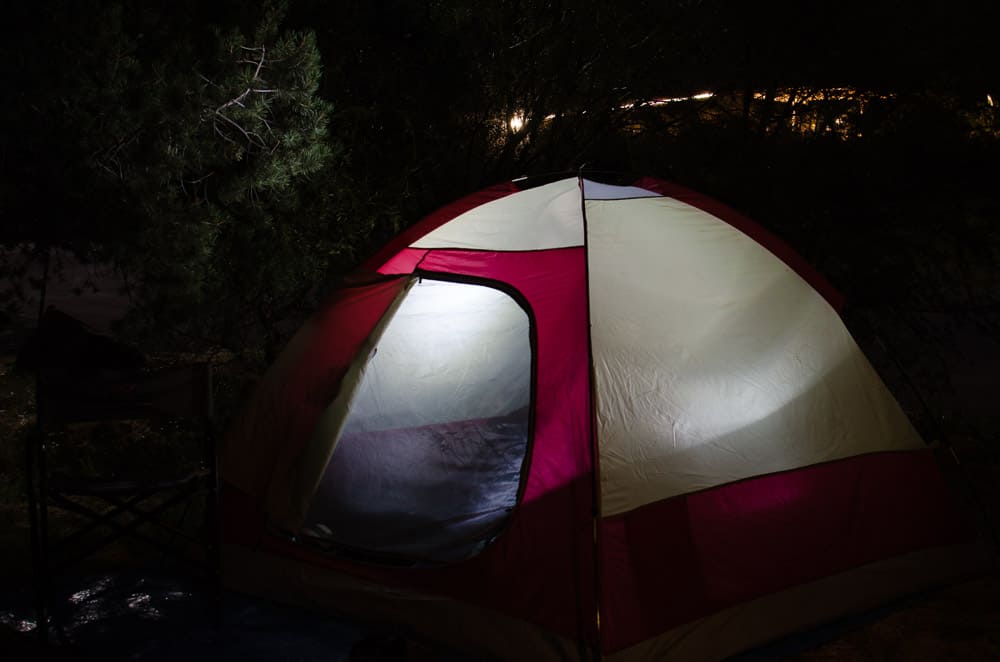 Trip Reports - Big Bend