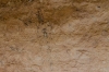 Presa Canyon Photos