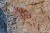 Presa Canyon Photos