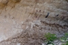 Presa Canyon Photos