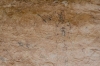 Presa Canyon Photos