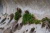 Presa Canyon Photos