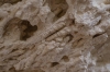 Presa Canyon Photos
