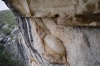 Presa Canyon Photos