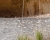 Presa Canyon Photos