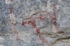 Presa Canyon Photos