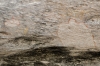 Presa Canyon Photos