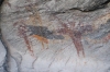 Presa Canyon Photos