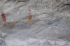 Presa Canyon Photos