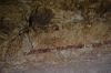 Presa Canyon Photos