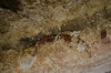 Presa Canyon Photos